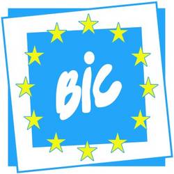 BIC Logo klein